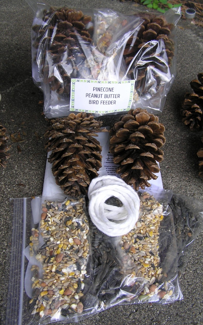 Pinecone Bird Feeder Kit Free Shipping Etsy