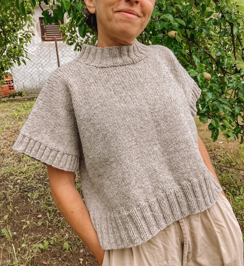 May include: A light brown knitted sweater with a high neckline and short sleeves. The sweater has a textured knit and a slightly cropped length.