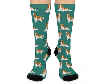 Cavalier King Charles Spaniel Socks, Dog Socks, Cute Cavie Lover Socks, Funny Birthday Gift, Christmas Gifts for Cavalier Mom, Dog Dad