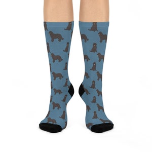Newfoundland dog socks sale