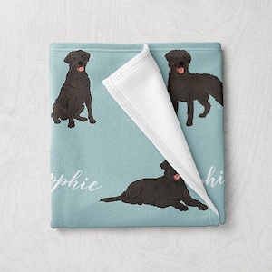 Labrador Retriever Blanket, Custom Name Lab Dog Blanket, Personalized Baby Blanket, Pet Blanket, Dog Themed Gifts, Baby Girl Boy Blanket