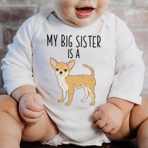 Etsy chihuahua clothes shop