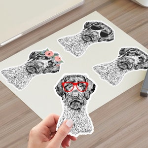 May include: Four black and white illustrations of a German Shorthaired Pointer dog. Each illustration features a different accessory: a flower crown, sunglasses, red glasses, and a plain face.
