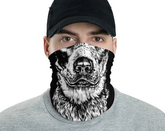 bandana para blue heeler
