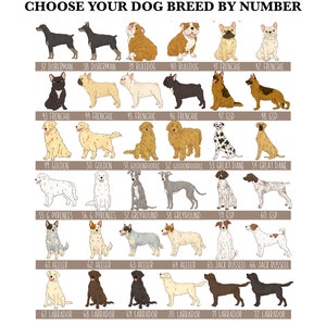 May include: A chart featuring illustrations of various dog breeds, each labeled with a number and breed name. Breeds include Doberman, Bulldog, Frenchie, Golden, Great Dane, and Labrador. The text at the top reads "CHOOSE YOUR DOG BREED BY NUMBER."