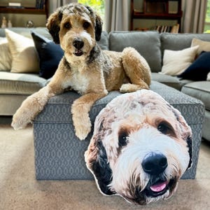 Custom 3d Pet Pillow, Custom Dog Shaped Pillow from Photo, Custom 3d Cat Pillow, Personalized Dog Shaped Throw Pillow, Pet Memorial Gift