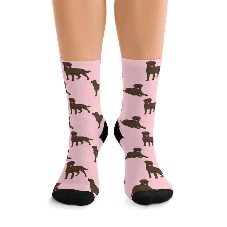 Custom Dog Socks Custom Pet Socks Personalized Labrador Etsy
