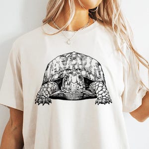Eastern Box Turtle Shirt, Land Turtle Sweatshirt, Cute Box Turtle Lover Gift, Funny Animal Lover Gift, Box Turtle Animal Tshirt