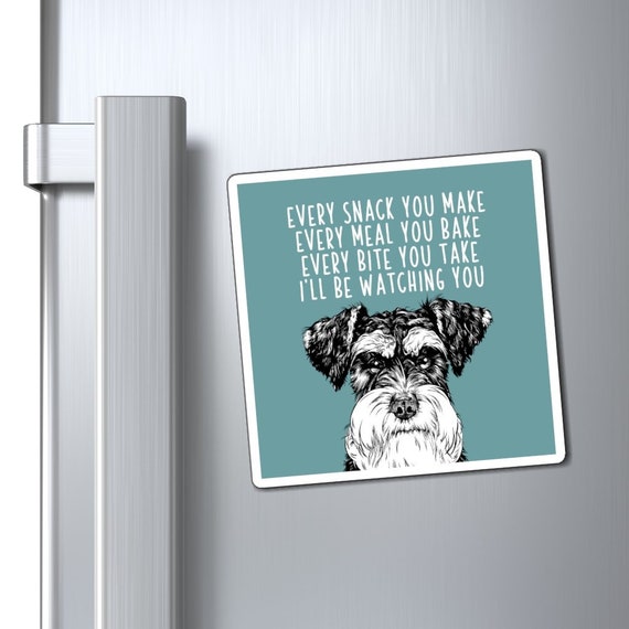 Does A Miniature Schnauzer Need Snacks