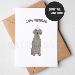 Cartão de aniversário Weimaraner para impressão, cartão de feliz aniversário do cachorro, cartões de aniversário do pai da mãe do cachorro do cachorro, presente da mãe Weimaraner