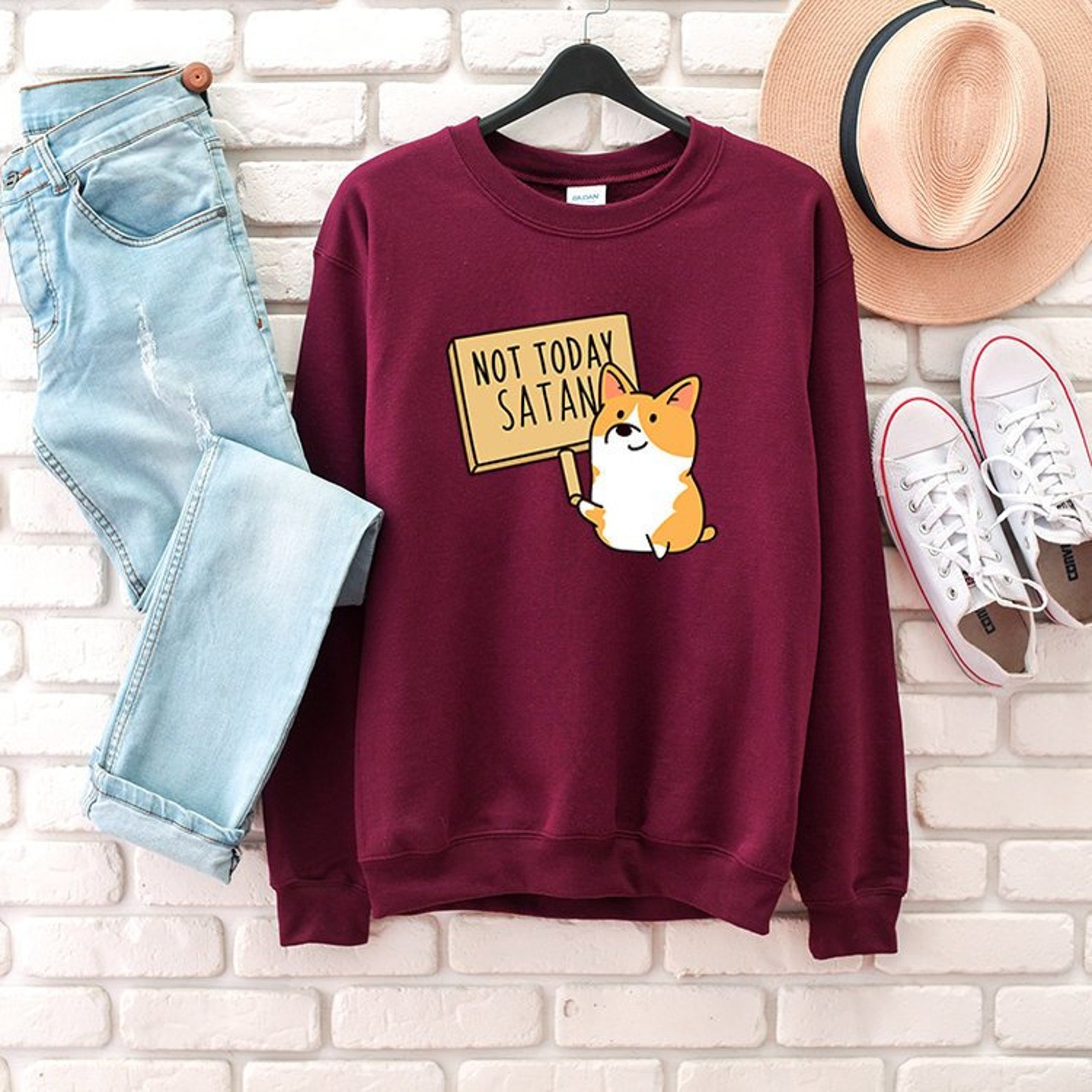Funny Corgi Hoodie