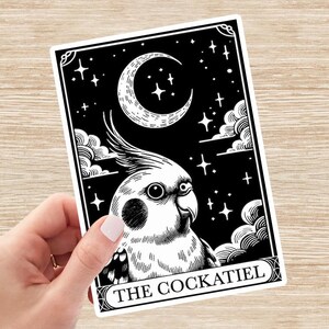 Cockatiel Sticker, Cockatiel Parrot Decal, Bird Tarot Card Sticker, Cockatiel Mom Gift, Vinyl Sticker, Laptop Sticker, Water Bottle Sticker