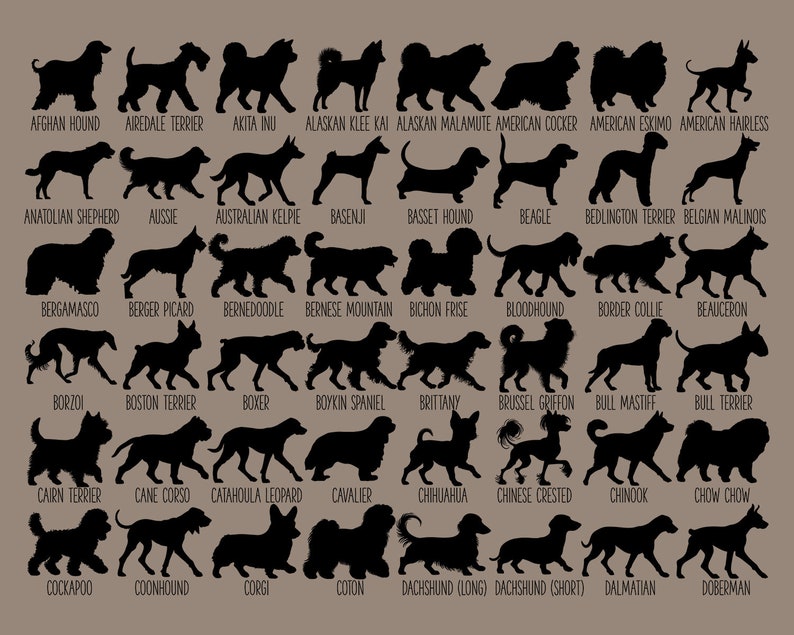 May include: A chart of 40 different dog breeds, each represented by a black silhouette. The breeds are listed in alphabetical order below each silhouette.
