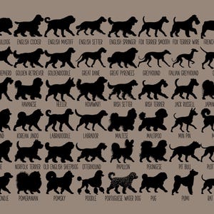 May include: A chart of 40 different dog breeds, each represented by a black silhouette. The breeds are listed below each silhouette, including English Bulldog, Golden Retriever, Great Dane, Jack Russell, Labrador, Poodle, and more.