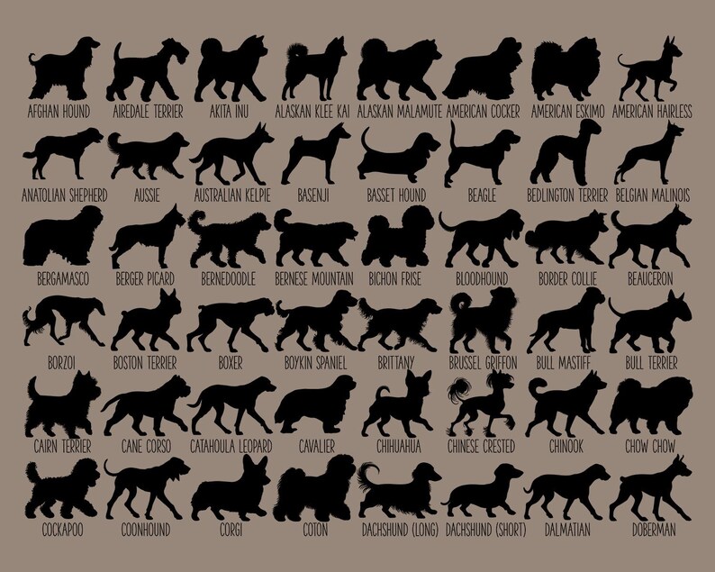 May include: A chart of 50 different dog breeds, each represented by a black silhouette. The breeds are listed in alphabetical order below each silhouette.