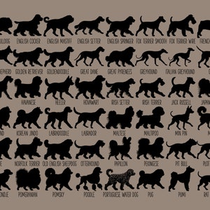 May include: A chart of 36 different dog breeds, each represented by a black silhouette. The breeds are listed below each silhouette, including English Bulldog, Golden Retriever, Great Dane, Jack Russell, Labrador, Poodle, and more.