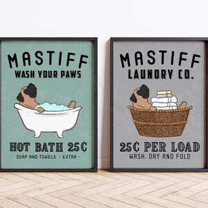 Funny English Mastiff Bath or Laundry wall art print, poster, or canvas for Mastiff lovers! This cute dog bathroom and laundry room decor featuring Bull Mastiff art makes a perfect gift for Bullmastiff mom and dog lovers. A great housewarming gift for any English Mastiff lovers.