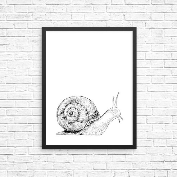 Snail Wall Art Animal Portrait Print Farmhouse Sign Snail Etsy
