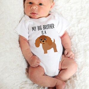 May include: White baby onesie with the text "My Big Brother Is A" and a cartoon image of a brown and white Cavalier King Charles Spaniel.