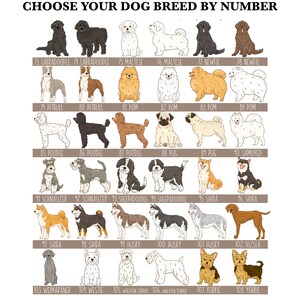 May include: A chart with illustrations of various dog breeds, each labeled with a number and breed name. Breeds include Labradoodle, Maltese, Newfie, Pitbull, Pomeranian, Poodle, Pug, Samoyed, Schnauzer, Sheepadoodle, Shiba, Husky, Weimaraner, Westie, Wheaten Terrier, and Yorkie.
