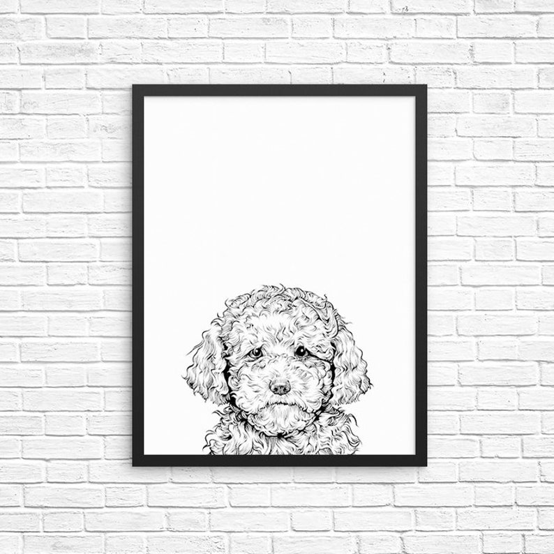 Cavapoo Wall Art Cavadoodle Dog Portrait Print Cavoodle - Etsy