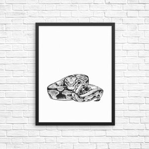 Puede incluir: Ilustraci&oacute;n en blanco y negro de un serpiente enroscado en espiral.