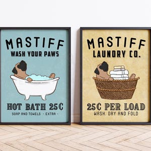 Funny English Mastiff Bath or Laundry wall art print, poster, or canvas for Mastiff lovers! This cute dog bathroom and laundry room decor featuring Bull Mastiff art makes a perfect gift for Bullmastiff mom and dog lovers. A great housewarming gift for any English Mastiff lovers.