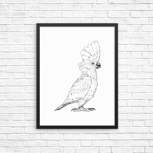 Umbrella Cockatoo Wall Art, White Cockatoo Portrait Print, Parrot Bird Lovers Sign, Bird Nursery Wall Decor Poster Boy Girl Kids Room Decor