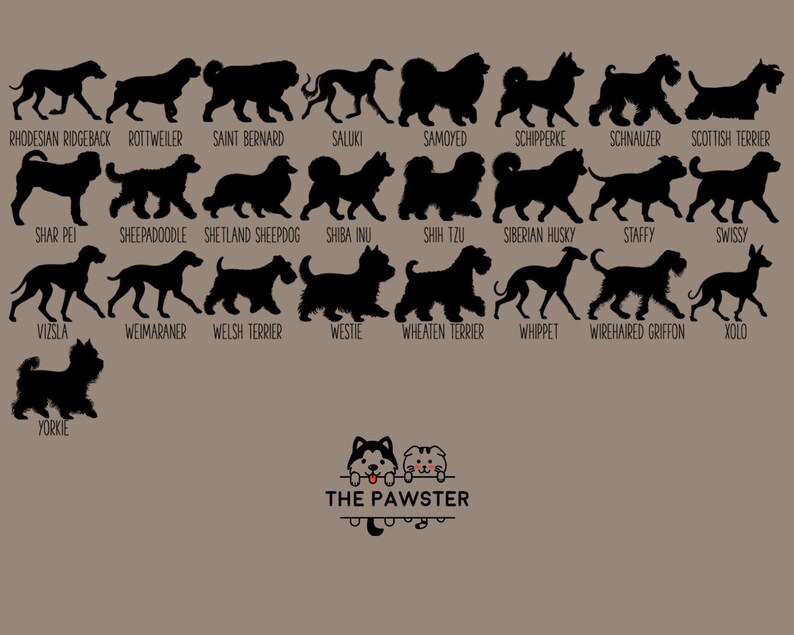 May include: A chart of 25 different dog breeds, each represented by a black silhouette. The breeds are listed below each silhouette. The chart is on a light brown background. The text "THE PAWSTER" is at the bottom of the chart.