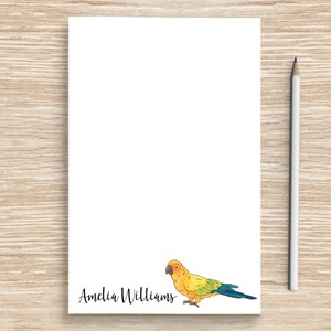 May include: A white notepad with the name "Amelia Williams" printed at the bottom. A yellow and green parrot illustration is at the bottom right corner of the notepad.