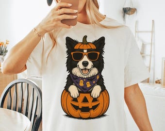 Border Collie Halloween Shirt, Retro Pumpkin Border Collie Comfort Colors Tshirt, Funny Spooky Dog Halloween Sweatshirt, Tee, Dog Lover Gift