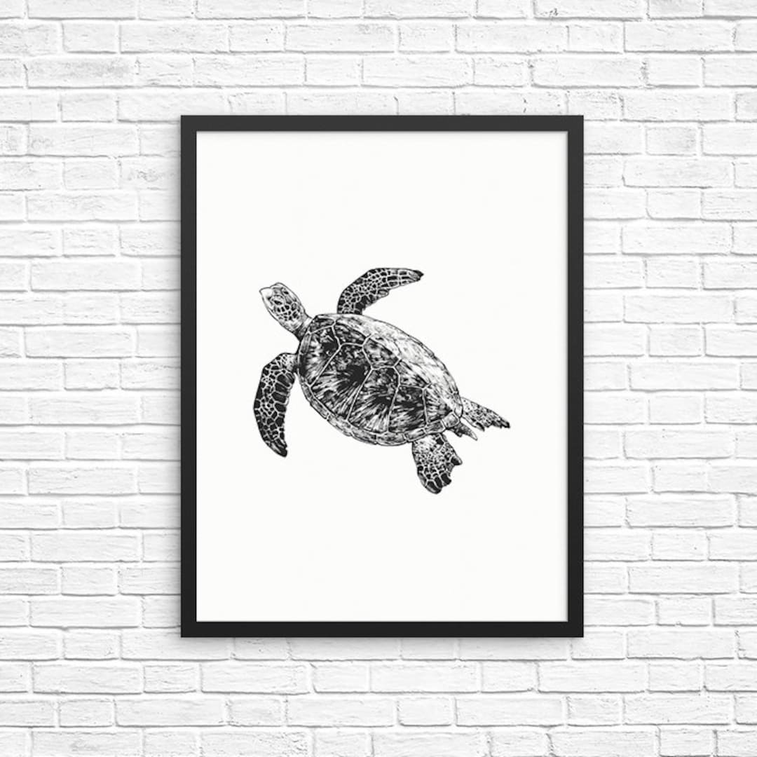 Turtle Wall Art, Turtle Print, Turtle Decor, Animal Prints, Sign, Baby