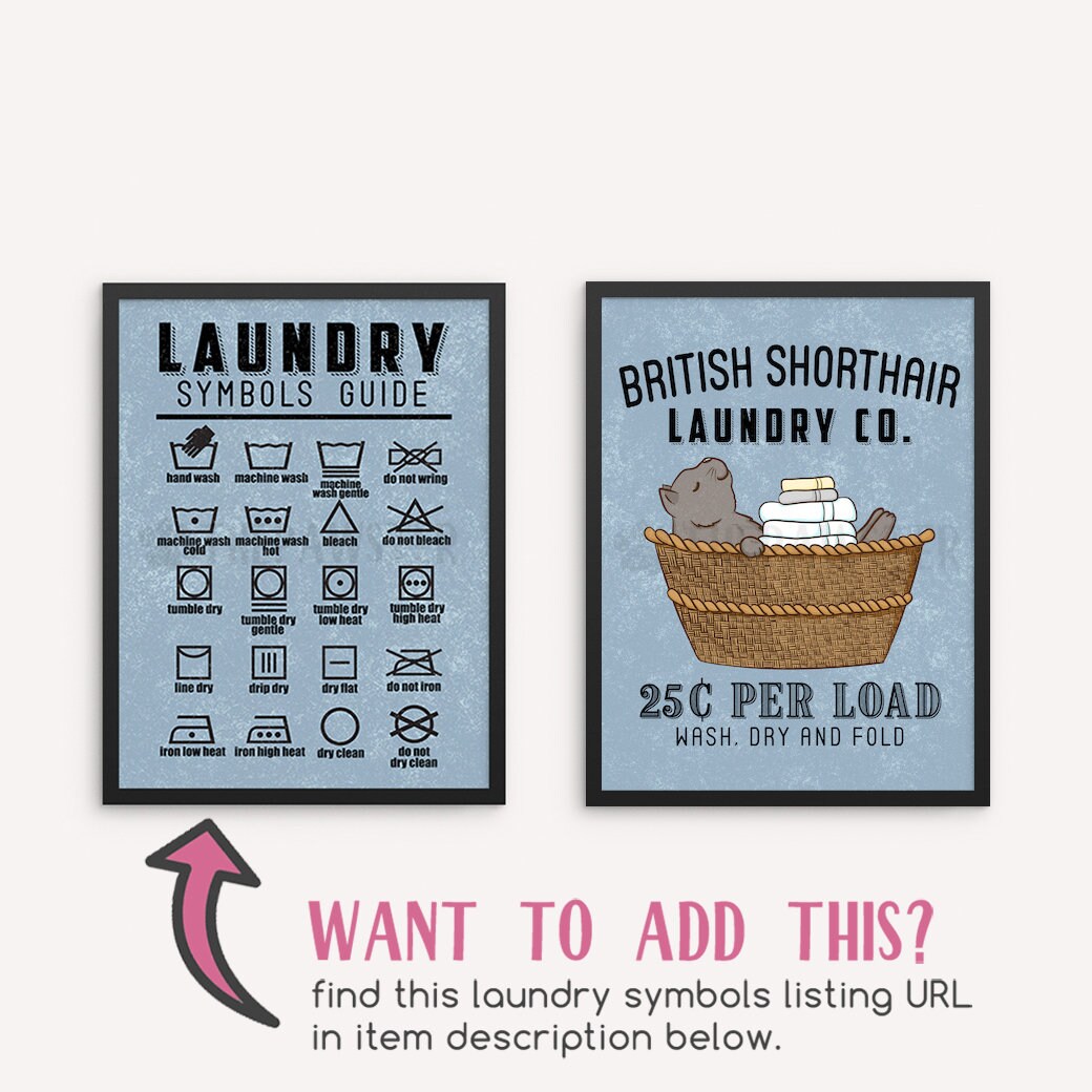 British Shorthair lavandería signo decoración de la sala de | Etsy