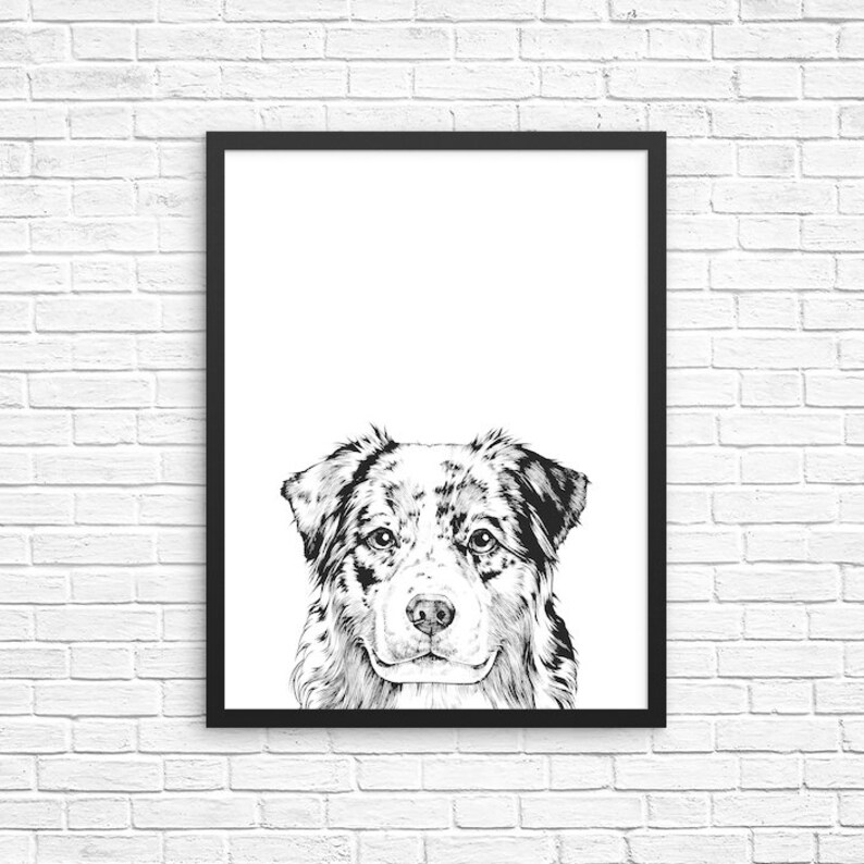 Australian Shepherd Wall Art Aussie Print Dog Home Decor Etsy