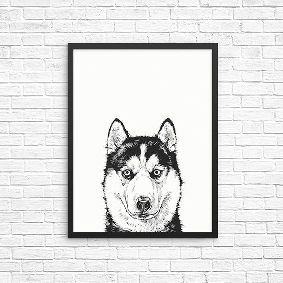 Póster «Mamá Husky Con Bandera Estadounidense Y Husky Siberiano Sentado