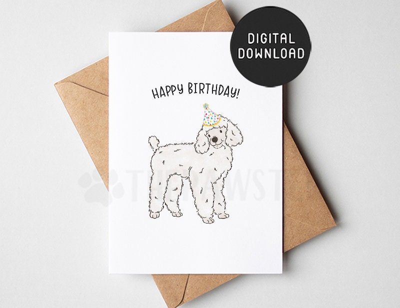 Cane barboncino 'Happy Birthday Ya Fancy ' – 145 mm x 145