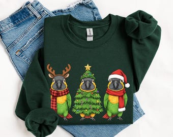 Sweat-shirt de Noël perroquet du Sénégal, chemise père Noël, pull de Noël, sweat à capuche, t-shirt, tshirt, cadeaux