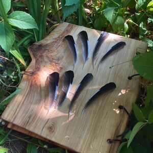 May include: A wooden, light-brown, handmade book with dark feathers arranged on top. The feathers are black and gray, with a slight curve. The book has a natural, organic shape and is surrounded by green foliage.
