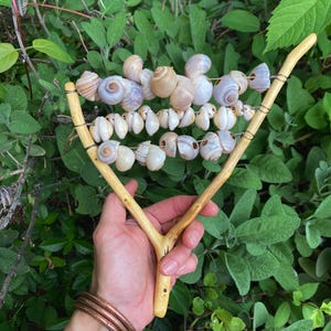 Snail Shaker- Shell Rattle- Rattle Maraca- Music Instrument- Percussion ...