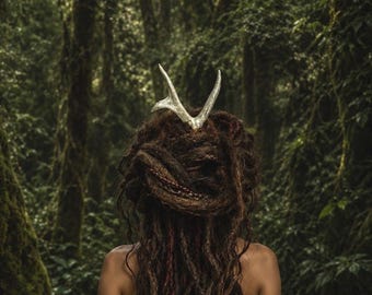 Antler hair stick