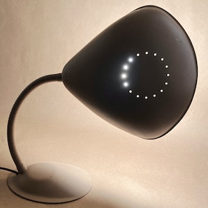 Eagle Lamp Co. Cobra Style Adjustable Gooseneck Desk Light with Original Paint