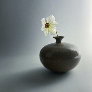 May include: A single white daffodil with a red center is arranged in a small, round, brown ceramic vase. The vase has a textured surface and a slightly flared lip.