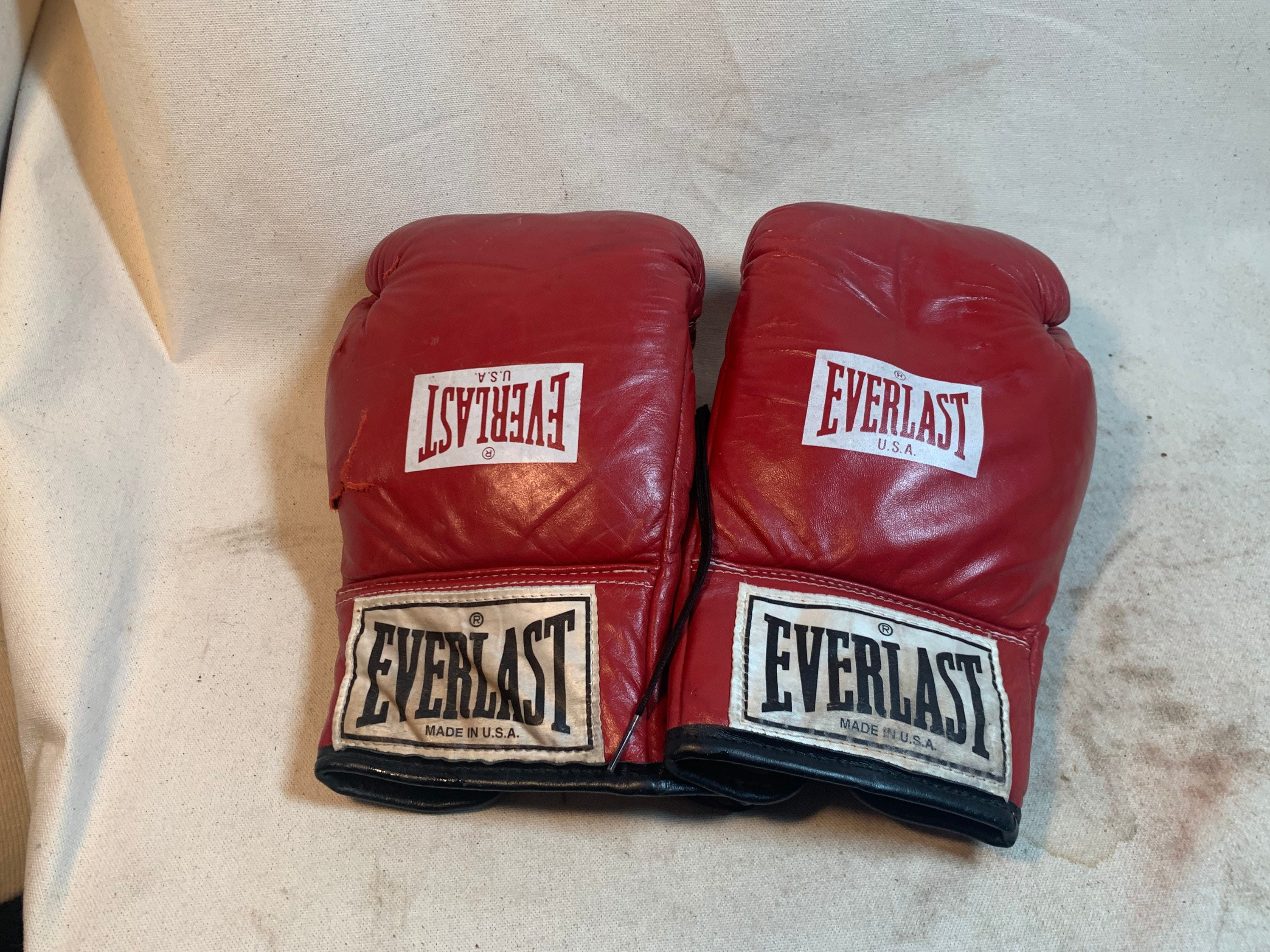 Everlast Boxing Gloves