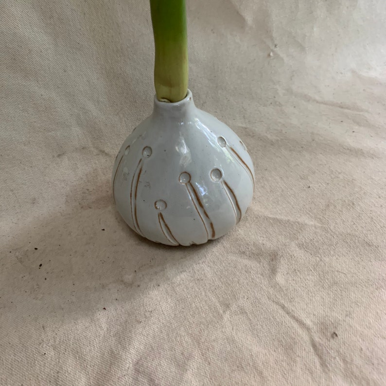 Amaryllis Bulb Vase