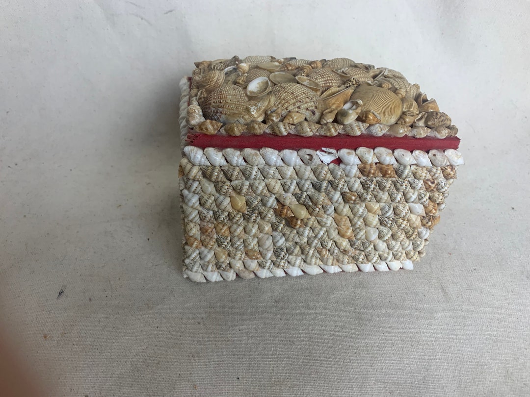 Shell Covered Box - Etsy