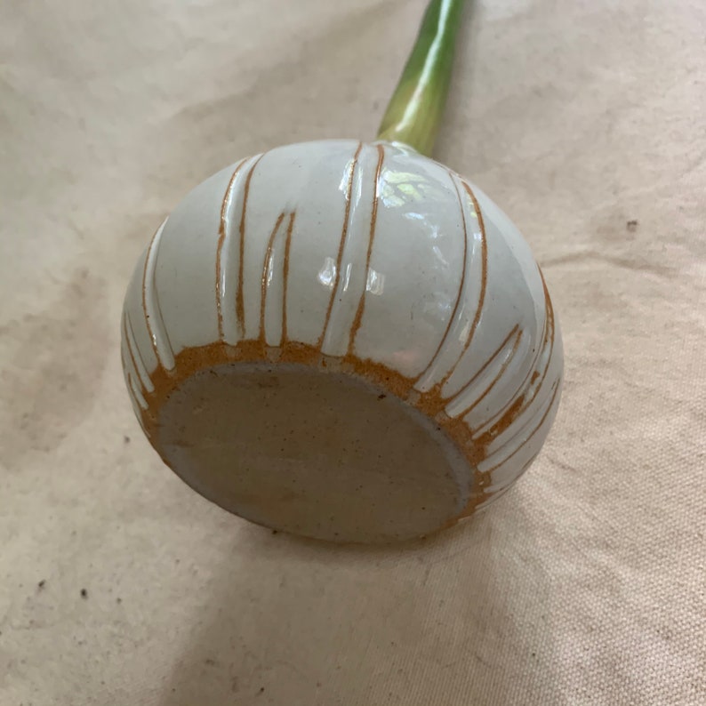 Amaryllis Bulb Vase Etsy