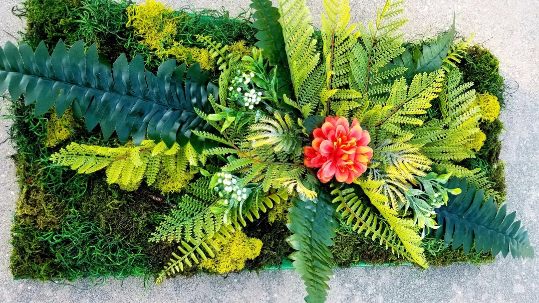Moss Wall Art Forest Preserved Moss Living Wall Flower Art Canvas Art Amazon Rainforest Dream Etsy