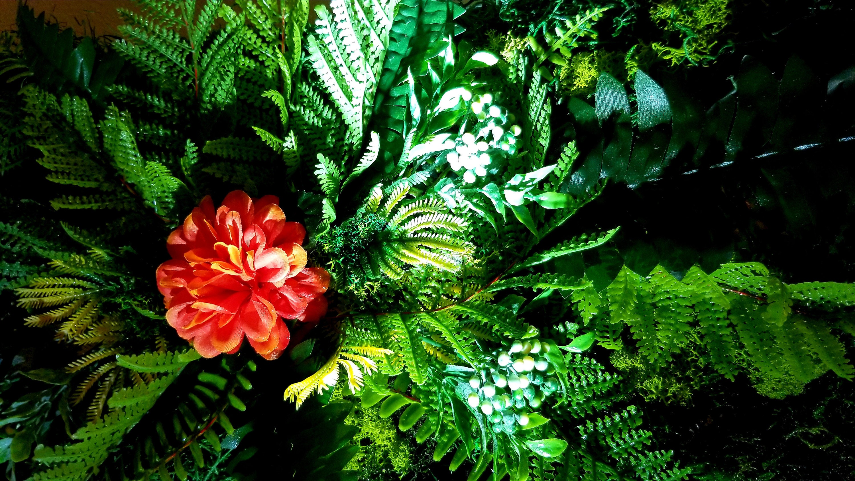 Moss Wall Art Forest Preserved Moss Living Wall Flower Art Canvas Art Amazon Rainforest Dream Etsy