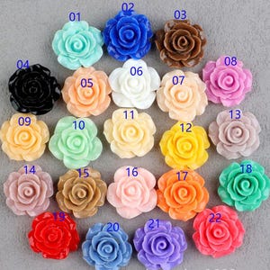 Può includere: Ventidue cabochon di rosa in resina assortiti in vari colori, tra cui rosa, blu, giallo, bianco, rosso e nero. Ogni cabochon è numerato da 01 a 22.