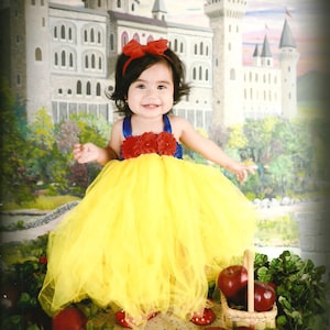 Beautiful Snow White Tutu Dress Costume with Red Hair Bow for Baby Girl 6-18 Months First Halloween